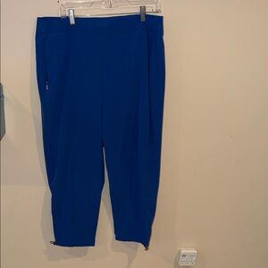 Chico's Blue Women's Pants